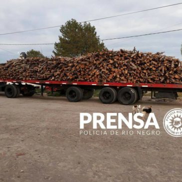 Secuestran camión y Decomisan 10 toneladas de leña frutal