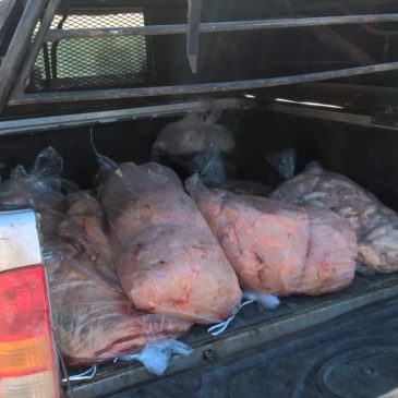 Decomisan 150 kilos de carne transportada sin cadena de frío