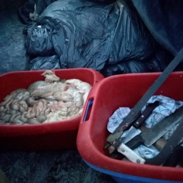 Secuestran 120 kilos de carne faenada clandestinamente