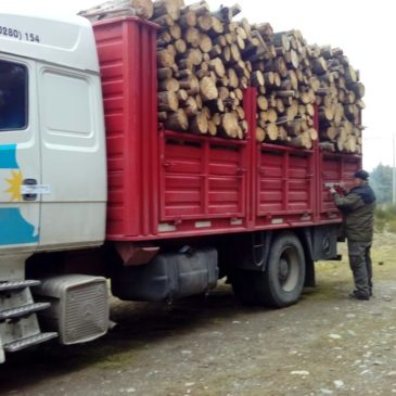 Importante operativo de control en El Bolsón