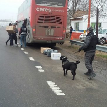 Operativos de control antidrogas en rutas del Alto Valle