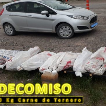 Decomisan terneros faenados