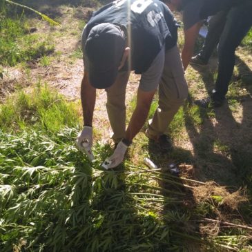 Exitoso operativo contra el Narcotráfico en el Alto Valle