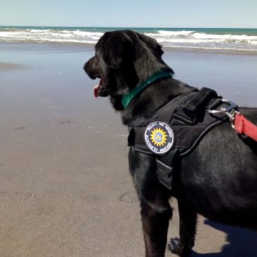 En el día del animal reconocemos la trayectoria del Can Licera