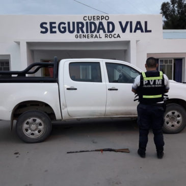 Incautan porcinos  y arma de fuego en control realizado en Paso Córdoba