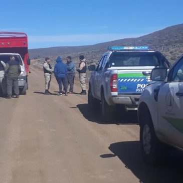 Buenos resultados en distintos operativos que realizó la Brigada Rural