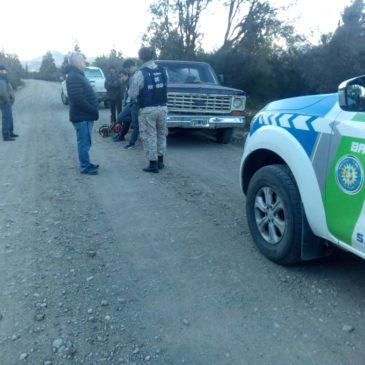 En múltiples operativos secuestran armas, leña de especies nativas y un zorro cazado de manera furtiva