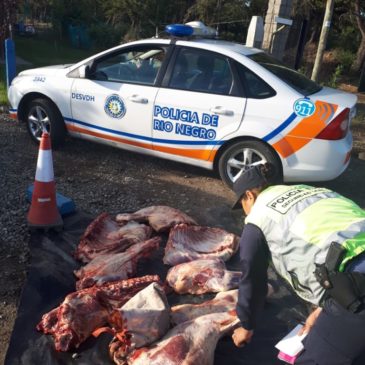 Secuestran 120 kilos de carne vacuna transportada de manera irregular