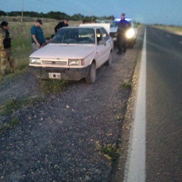 Viedma: Siete detenidos por hechos de Abigeato en la zona de IDEVI