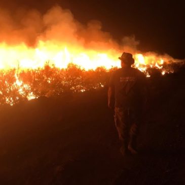 Bomberos y Splif  trabajan incansablemente en Guardia Mitre