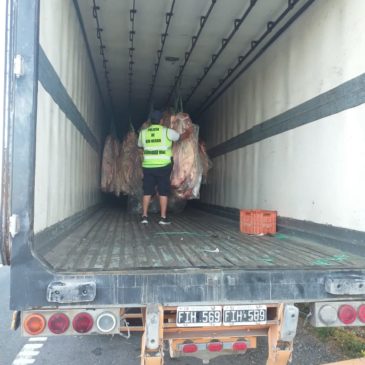 Secuestran más de 6 toneladas de carne sobre la ruta 22