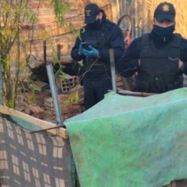 Allanamientos en Cipolletti: encontraron un vivero de marihuana