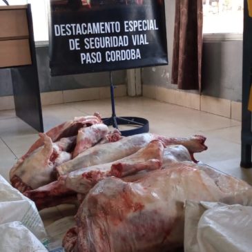 Decomiso de cuatro animales faenados en Paso Córdoba