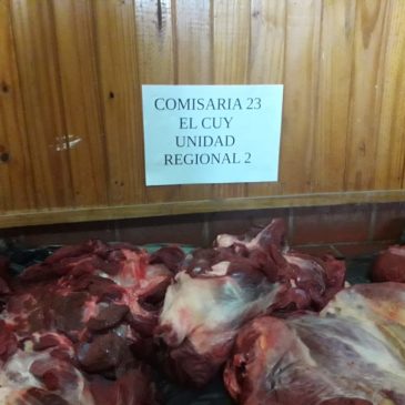 El Cuy: decomisan gran cantidad de carne