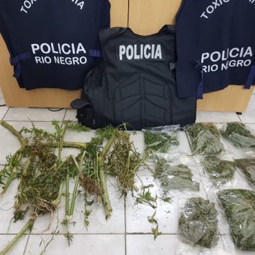 La Policía de Río Negro secuestró marihuana en una casa del centro de Viedma