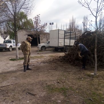 La Policía decomisó leña que era transportada de manera irregular que será donada a comedores de Cipolletti