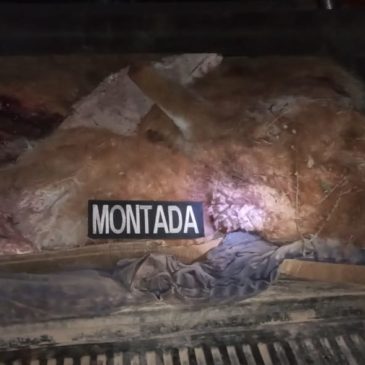 Operativo: la Policía decomisó carne faenada en la zona rural de Roca