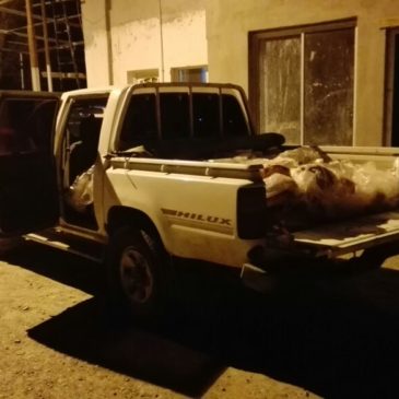 Catriel: se secuestraron 250 kilos de carne que era transportada de manera ilegal