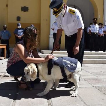 Se retiró Gringo, el perro que dio inicio a la División Canes de SAO