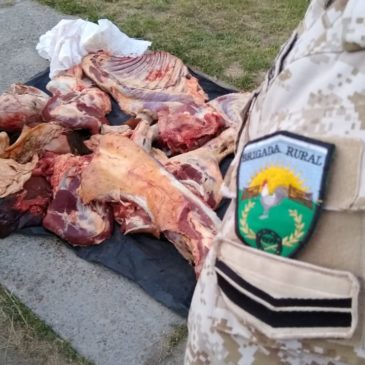 Secuestran unos 200 kilos de carne vacuna faenada clandestinamente