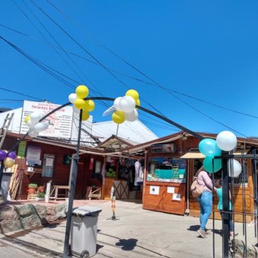 Dos detenidos por sustraer elementos de la feria “Antu”