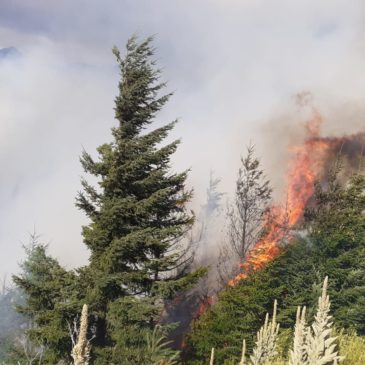 Incendio en El Bolsón: allanan la vivienda de un hombre sospechado de ser el causante del siniestro