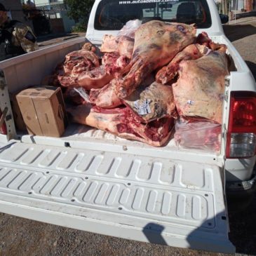 Se decomisó una gran cantidad de carne en mal estado en San Antonio Oeste