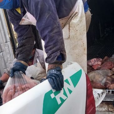 Nuevo decomiso: 1400 kilos de carne fueron incautados en Catriel y Balsa Las Perlas