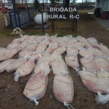 Policía decomisó alrededor de 500 kilos de carne en Río Colorado