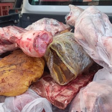 Policía decomisó más de 800 kilos de carne en comercios de Villa Regina y Chichinales