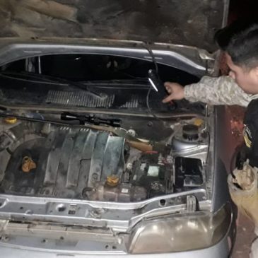 Cazaron un ciervo con un arma que ocultaron en el motor del vehículo