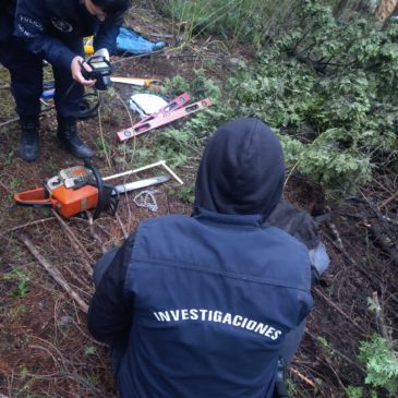 Con el aporte de Nina, la Policía recuperó en El Bolsón el botín obtenido por dos individuos en un robo