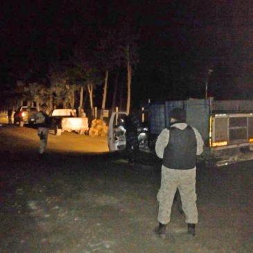 Secuestran tres metros cúbicos de leña nativa en Bariloche