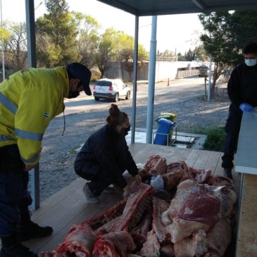 Puente Dique: se decomisaron más de 400 kilos de carne transportada de manera ilegal