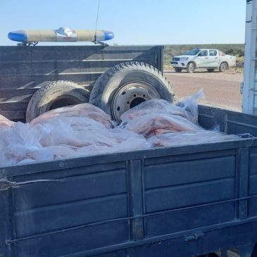 Policía decomisó alrededor de 2000 kilos de carne que era transportada ilegalmente