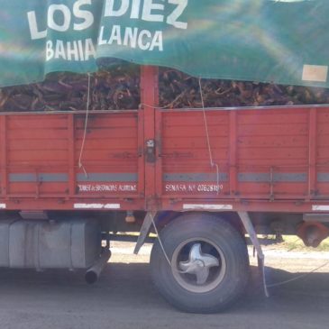 La Policía decomisó leña que era transportada en un camión en forma ilegal
