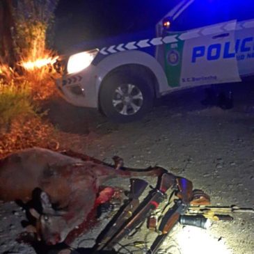 Sorprenden a los cinco ocupantes de una camioneta con un ciervo y varias armas de fuego