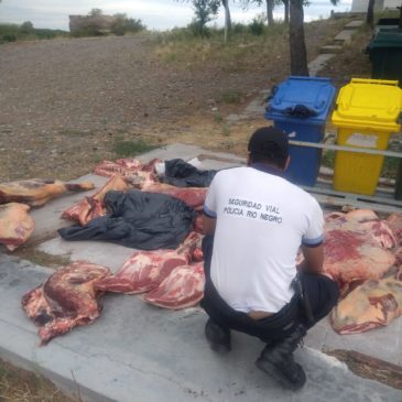 Decomisaron 350 kilos de carne vacuna que pretendían ingresar a la región patagónica