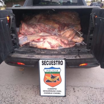 Secuestran más de 500 kilos de carne faenada clandestinamente