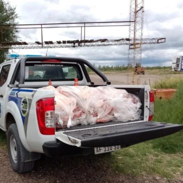 La Policía de Río Negro decomisó alrededor de 300 kilos de carne