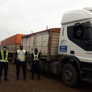 Viedma: se decomisaron alrededor de 28 mil kilos de cebolla transportada de manera irregular