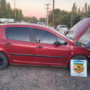 Alto Valle: Seguridad Vial secuestró un auto robado y frutos exóticos