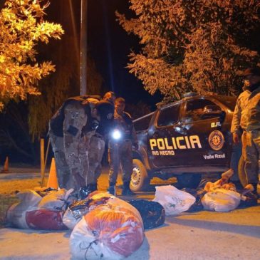Valle Azul: se secuestró más de 200 kilos de carne y se retuvo un vehículo con prohibición de circulación