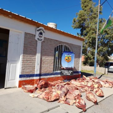 Pasó Córdoba: se decomisaron más de 700 kilos de carne en dos procedimientos