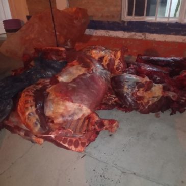 Paso Córdoba: Policía decomisó más de 400 kilos de carne