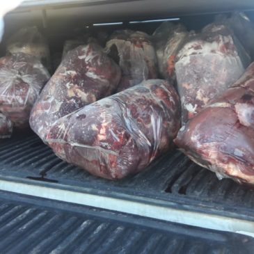 Policía sigue combatiendo la faena clandestina: secuestran 200 kilos de carne en Barda del Medio