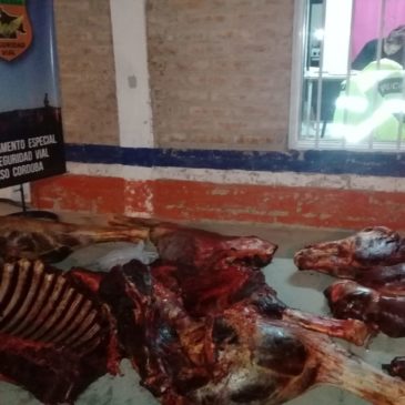 Policía decomisó 300 kilos de carne equina en Paso Córdoba