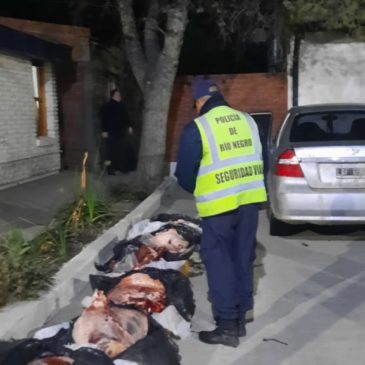 Policía secuestró animales faenados en operativos de control en General Roca