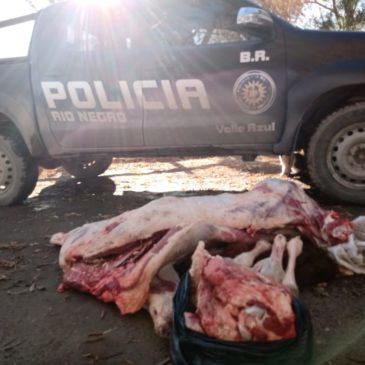 Valle Azul: Policía decomisó carne proveniente de faena clandestina