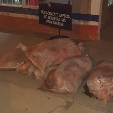 Controles vehiculares: se realizaron tres decomisos de carne en Paso Córdoba